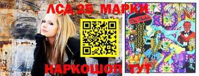 PSILOCYBIN Бугуруслан