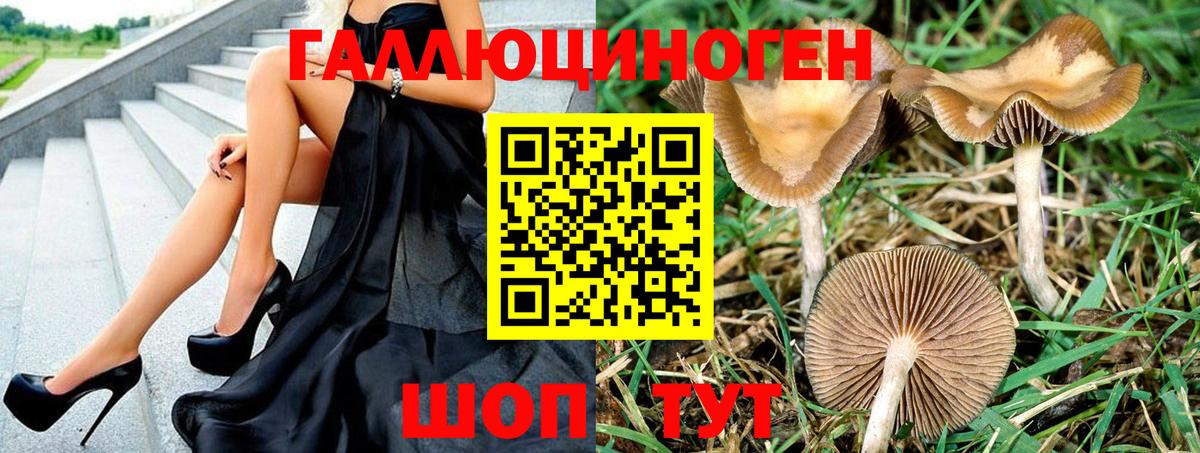 Усть-Илимск  Галлюциногенные грибы мухоморы  Вход с VPN 